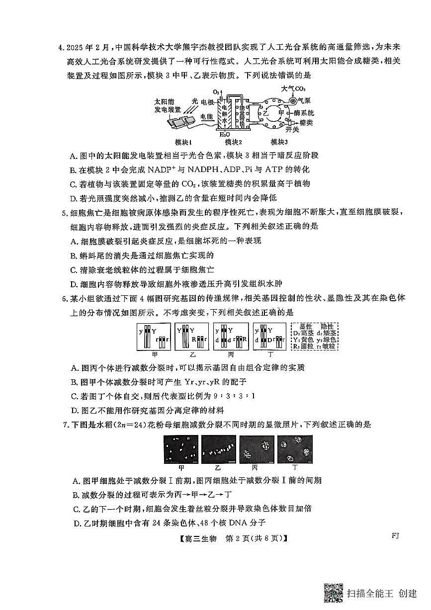 【生物试卷】福建高三2025-2026学年百校11月联考第2页
