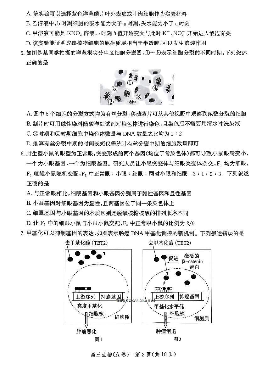 2025年河北省高三上学期11月期中生物试题及答案第2页