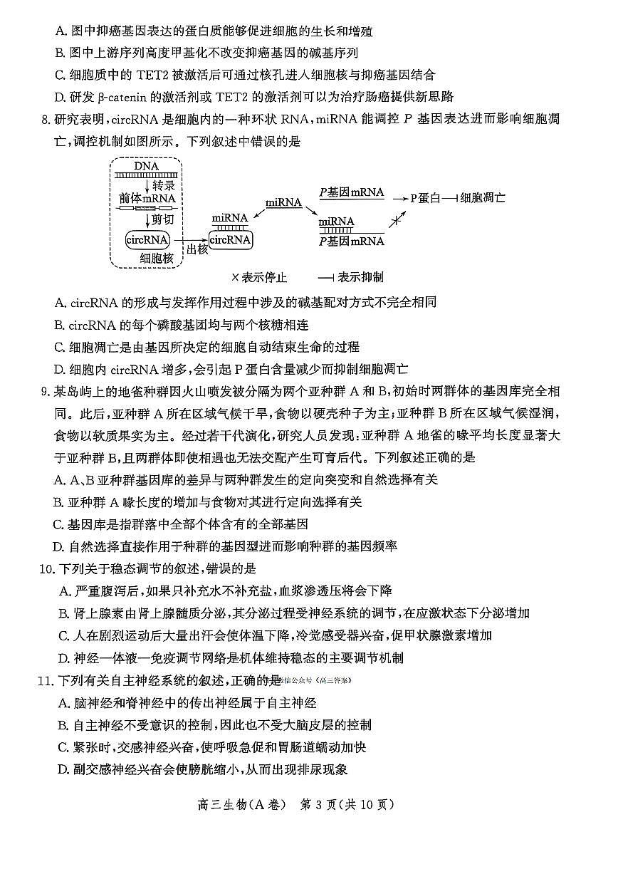 2025年河北省高三上学期11月期中生物试题及答案第3页