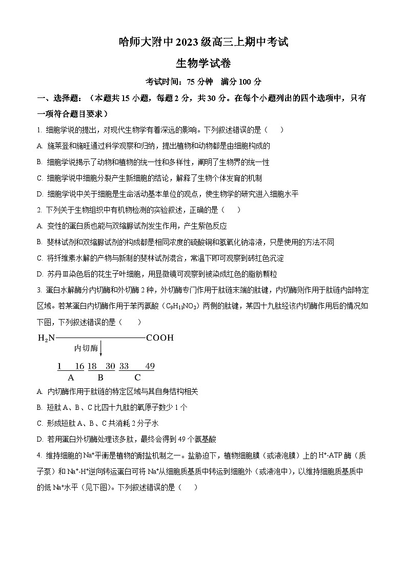 精品解析：黑龙江省哈尔滨师范大学附属中学2025-2026学年高三上学期期中考试生物试题（原卷版）第1页