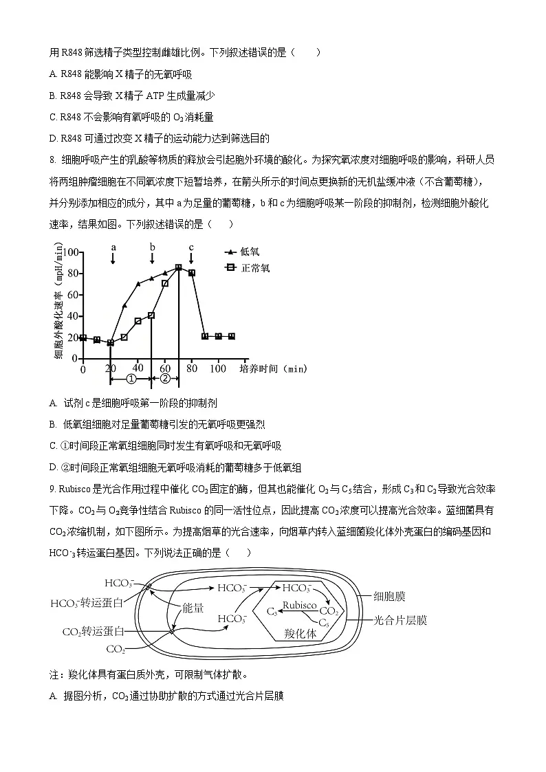 精品解析：黑龙江省哈尔滨师范大学附属中学2025-2026学年高三上学期期中考试生物试题（原卷版）第3页