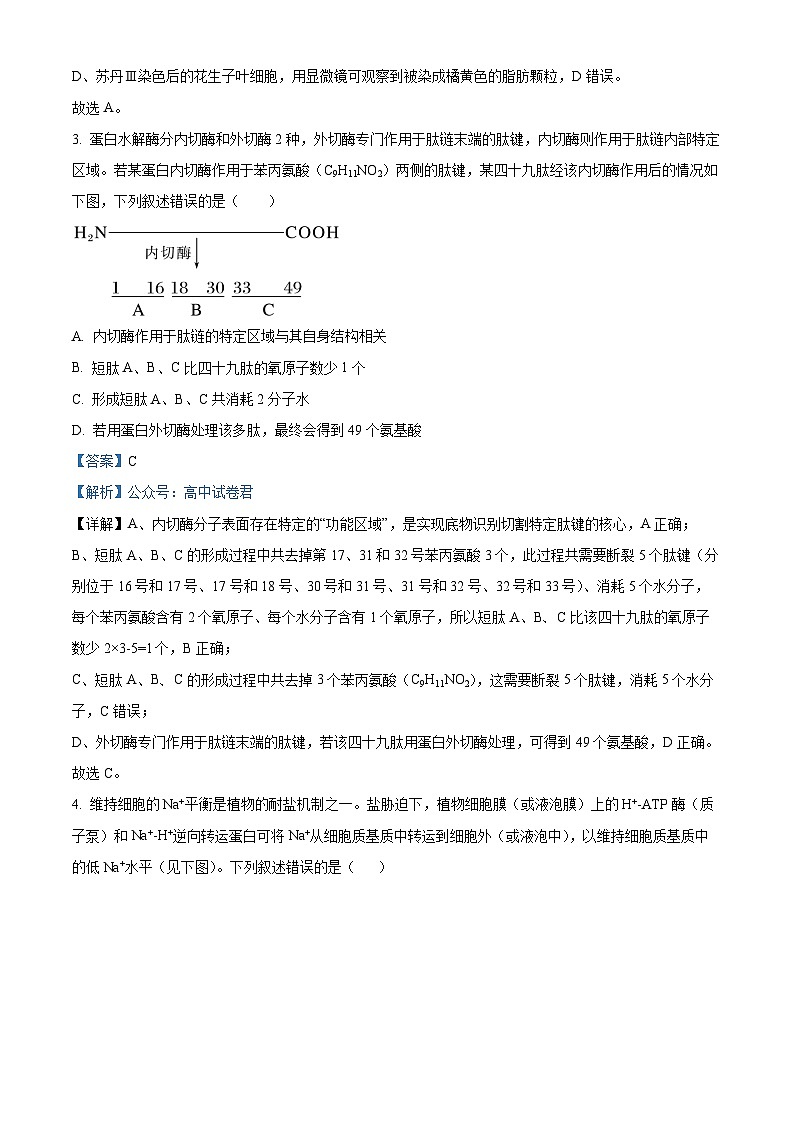 精品解析：黑龙江省哈尔滨师范大学附属中学2025-2026学年高三上学期期中考试生物试题（解析版）第2页