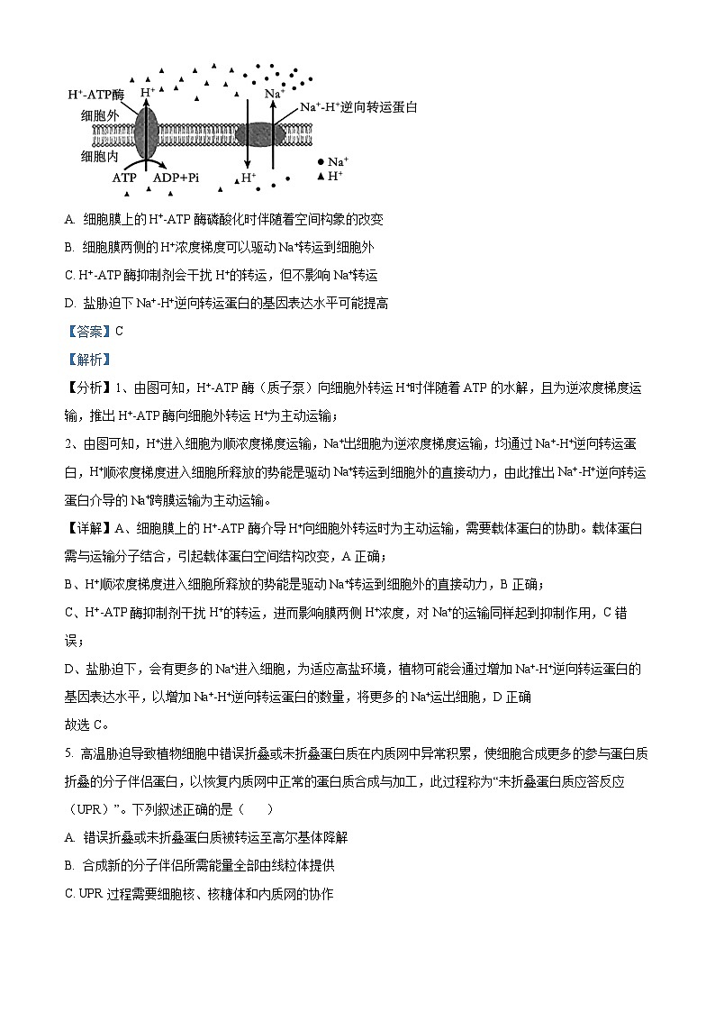 精品解析：黑龙江省哈尔滨师范大学附属中学2025-2026学年高三上学期期中考试生物试题（解析版）第3页