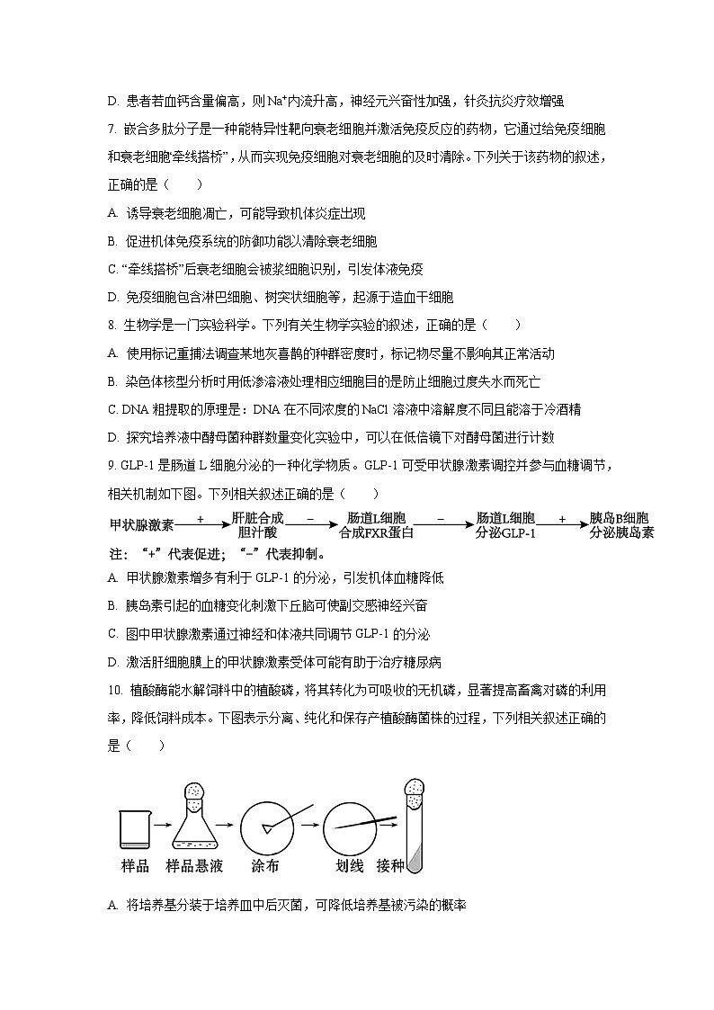 江苏省徐州市部分学校2025-2026学年高三上10月月考生物试卷（学生版）第3页