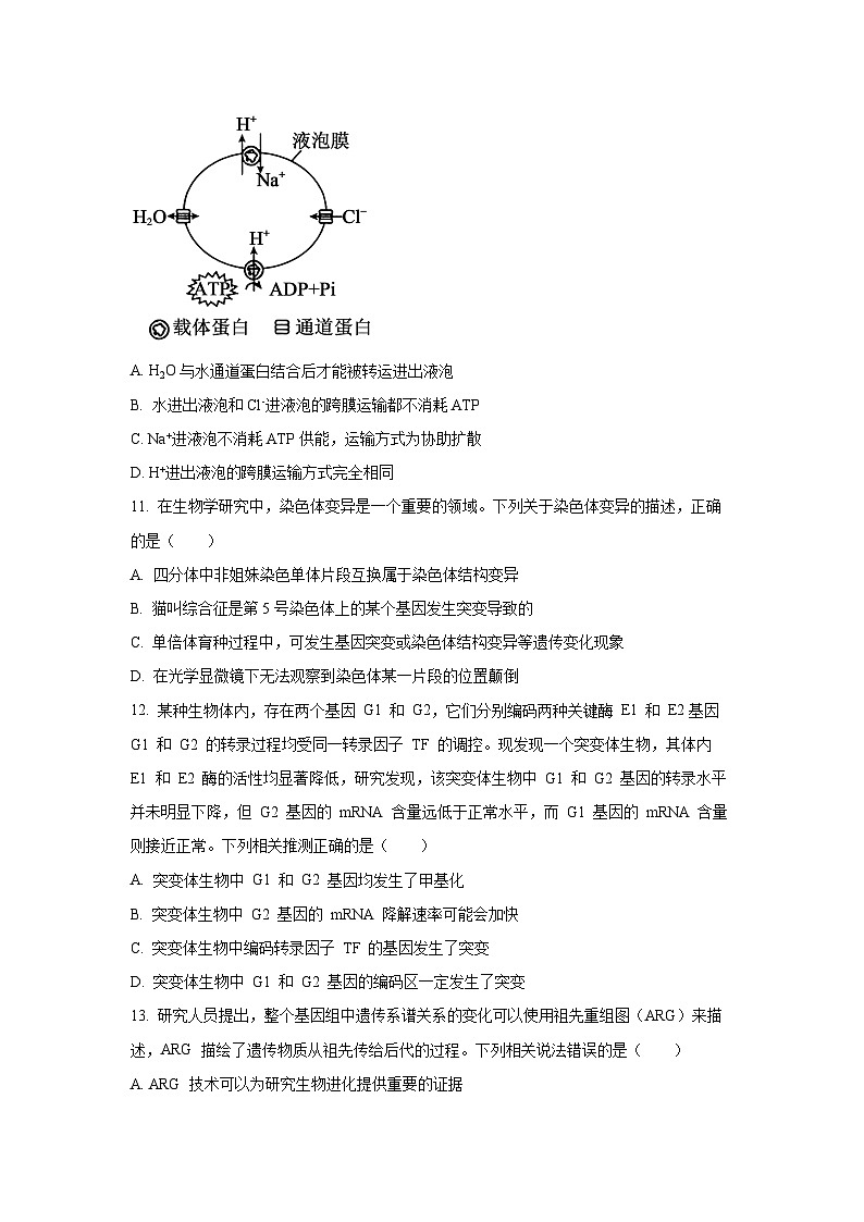 贵州省部分学校2025-2026学年高三上学期10月联考生物试卷（学生版）第3页