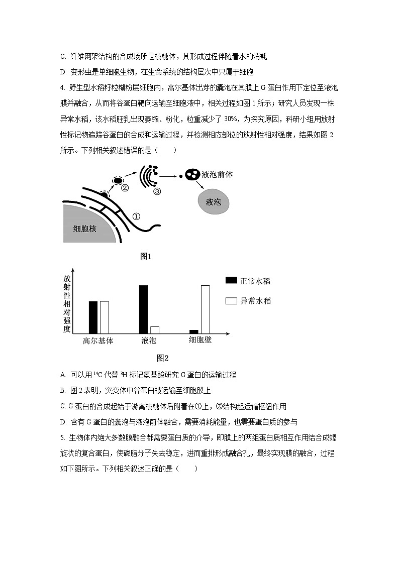 河南省信阳市2025—2026学年高三上学期第一次质量检测生物试卷（学生版）第2页