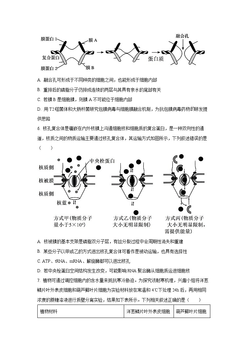 河南省信阳市2025—2026学年高三上学期第一次质量检测生物试卷（学生版）第3页