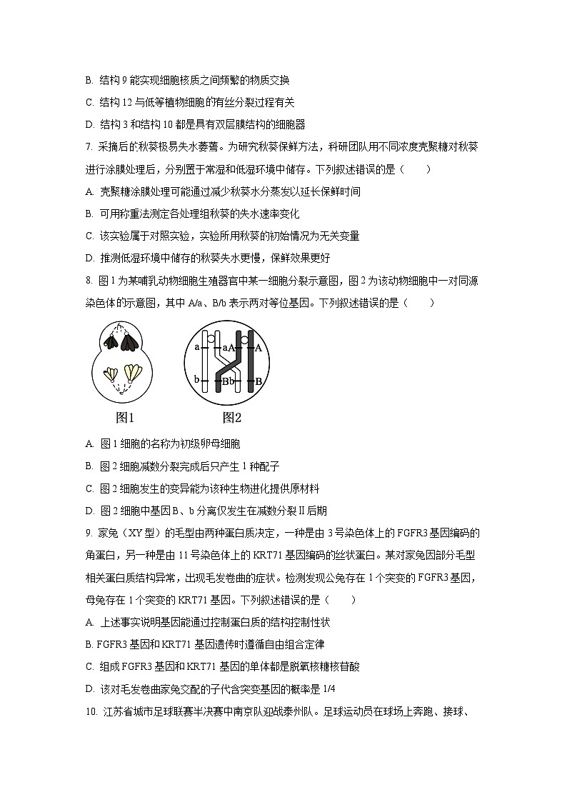 广东省深圳市2025—2026学年高三上学期期中生物试卷（学生版）第3页