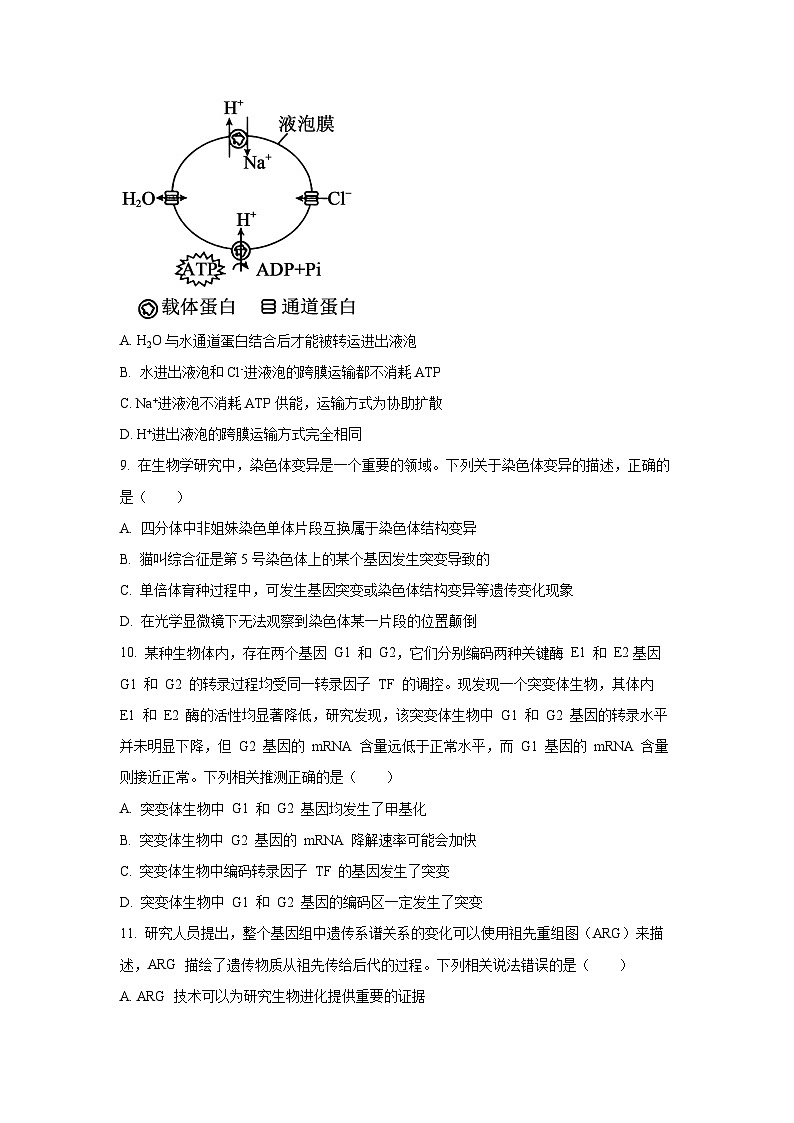 广东省部分学校2026届高三上学期10月联考生物试卷（学生版）第3页
