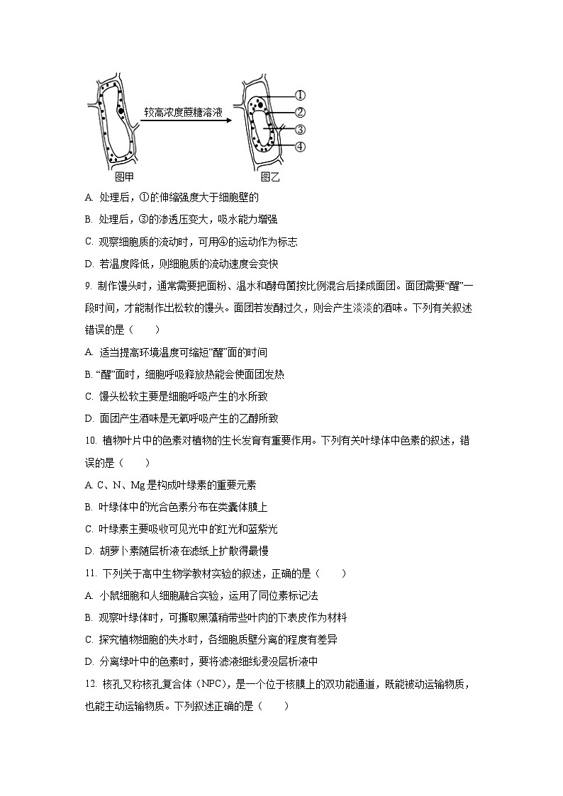 甘肃省部分学校2025-2026学年高三上学期10月月考生物试卷（学生版）第3页