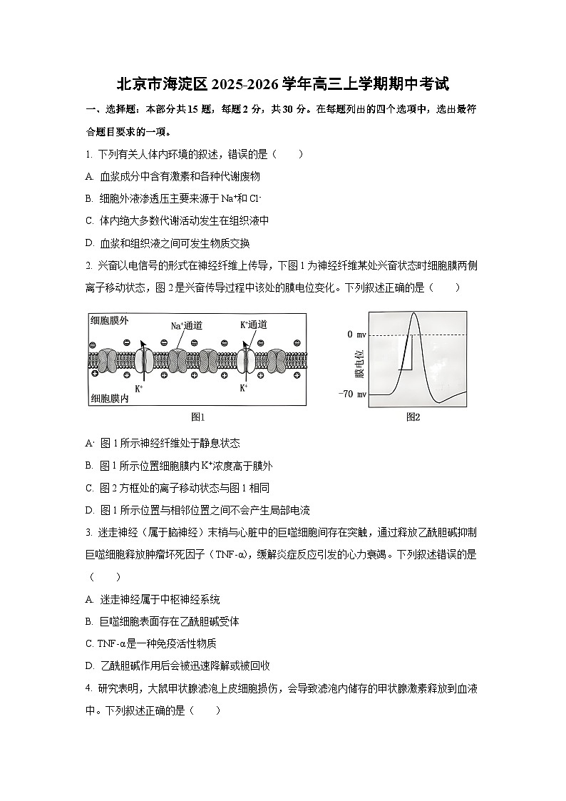 北京市海淀区2025-2026学年高三上学期期中考试生物试卷（学生版）第1页