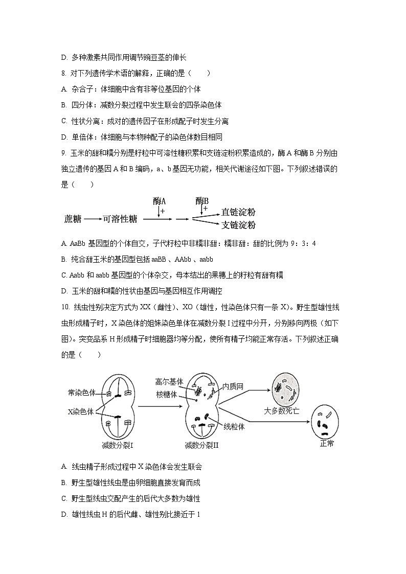 北京市海淀区2025-2026学年高三上学期期中考试生物试卷（学生版）第3页