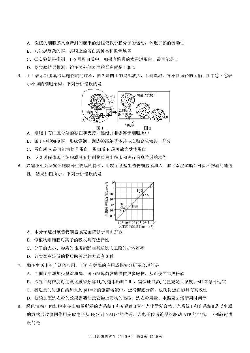 重庆市2025-2026学年高三上学期11月期中调研生物试题第2页