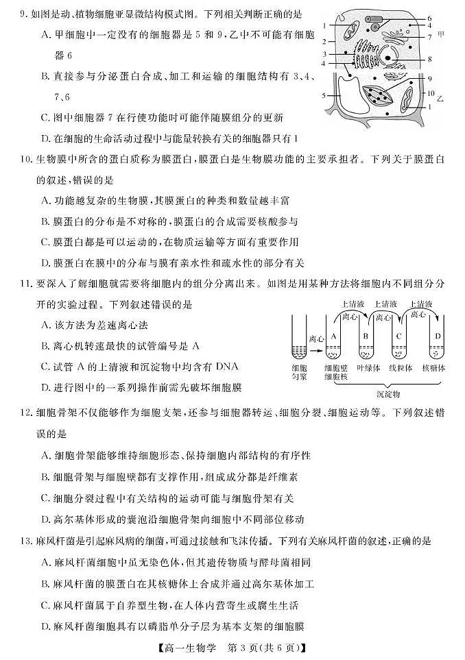 甘肃省张掖市民乐县第一中学2025-2026学年高一上学期期中生物试卷第3页