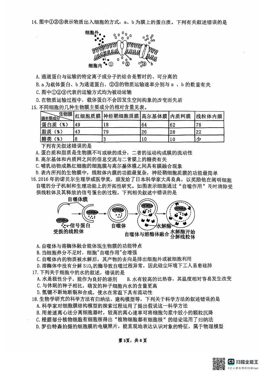 广东省揭阳第一中学2025—2026学年高一上学期期中考试生物试题第3页