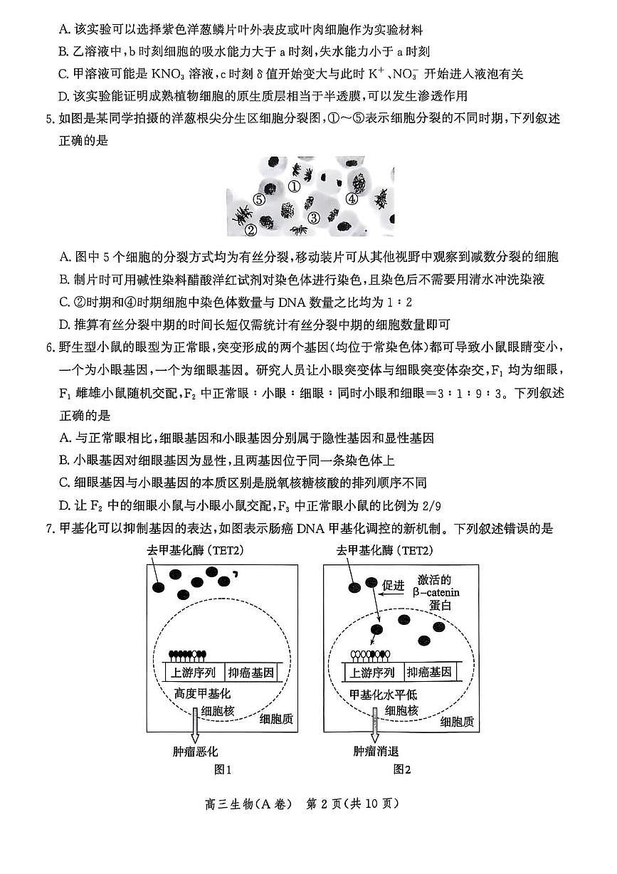 河北省多市联考2025-2026学年高三上学期11月期中生物试题A第2页