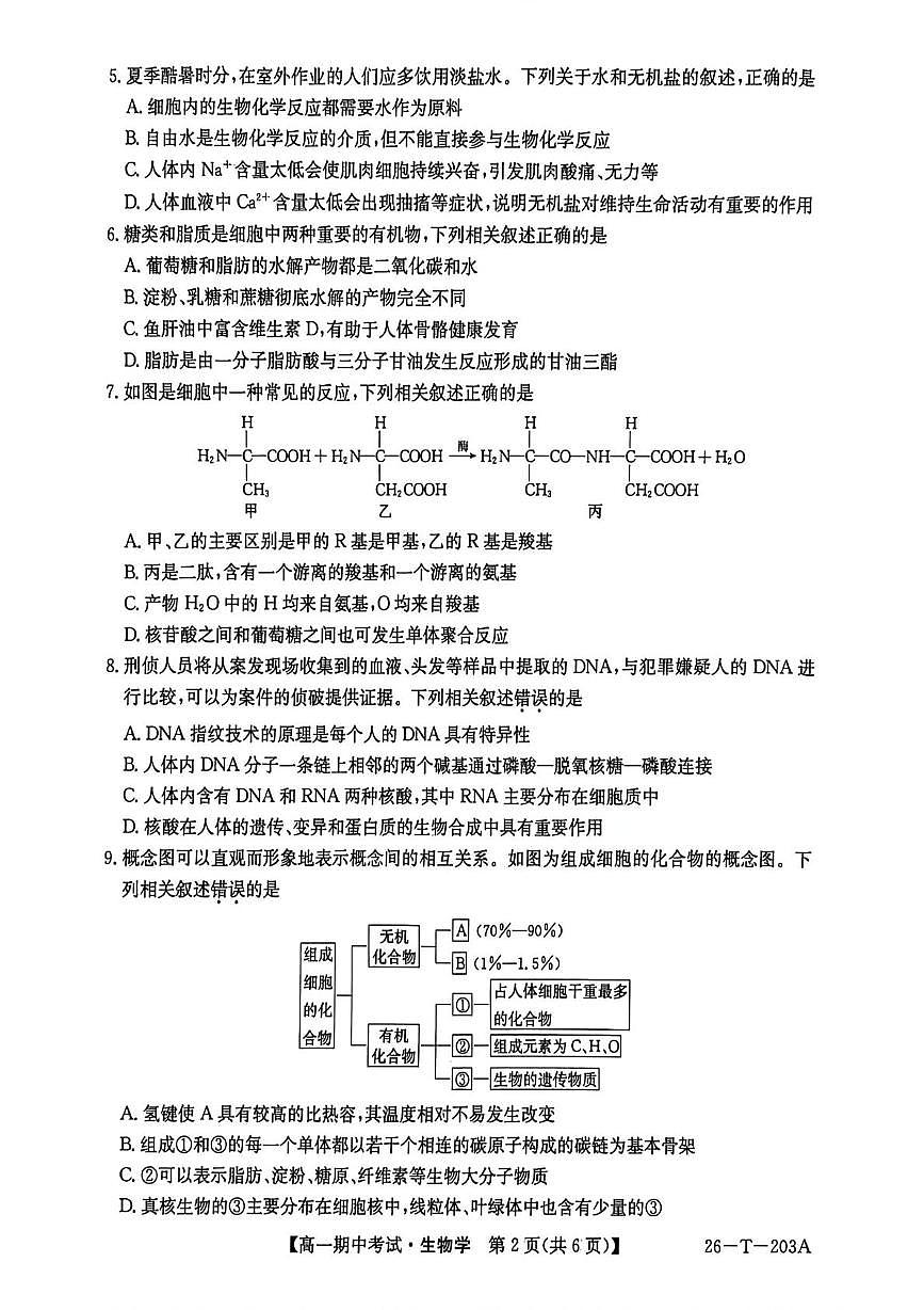 辽宁省锦州省重点2025-2026学年高一上学期期中生物试卷第2页