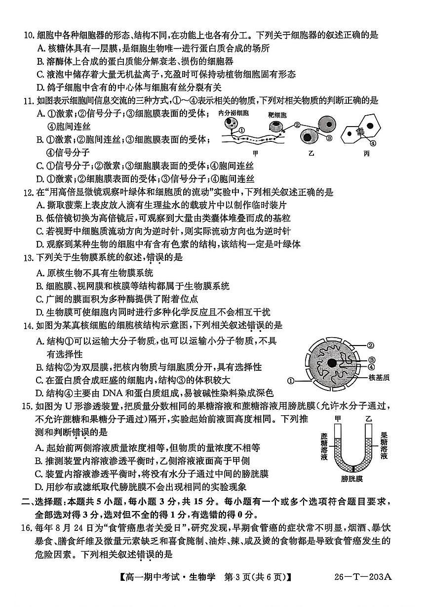 辽宁省锦州省重点2025-2026学年高一上学期期中生物试卷第3页