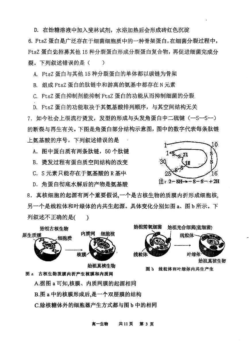 辽宁省七校协作体2025-2026学年高一上学期期中生物试卷第3页