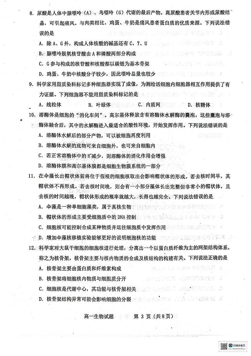 山东省烟台市2025-2026学年高一上学期11月期中生物试题第3页