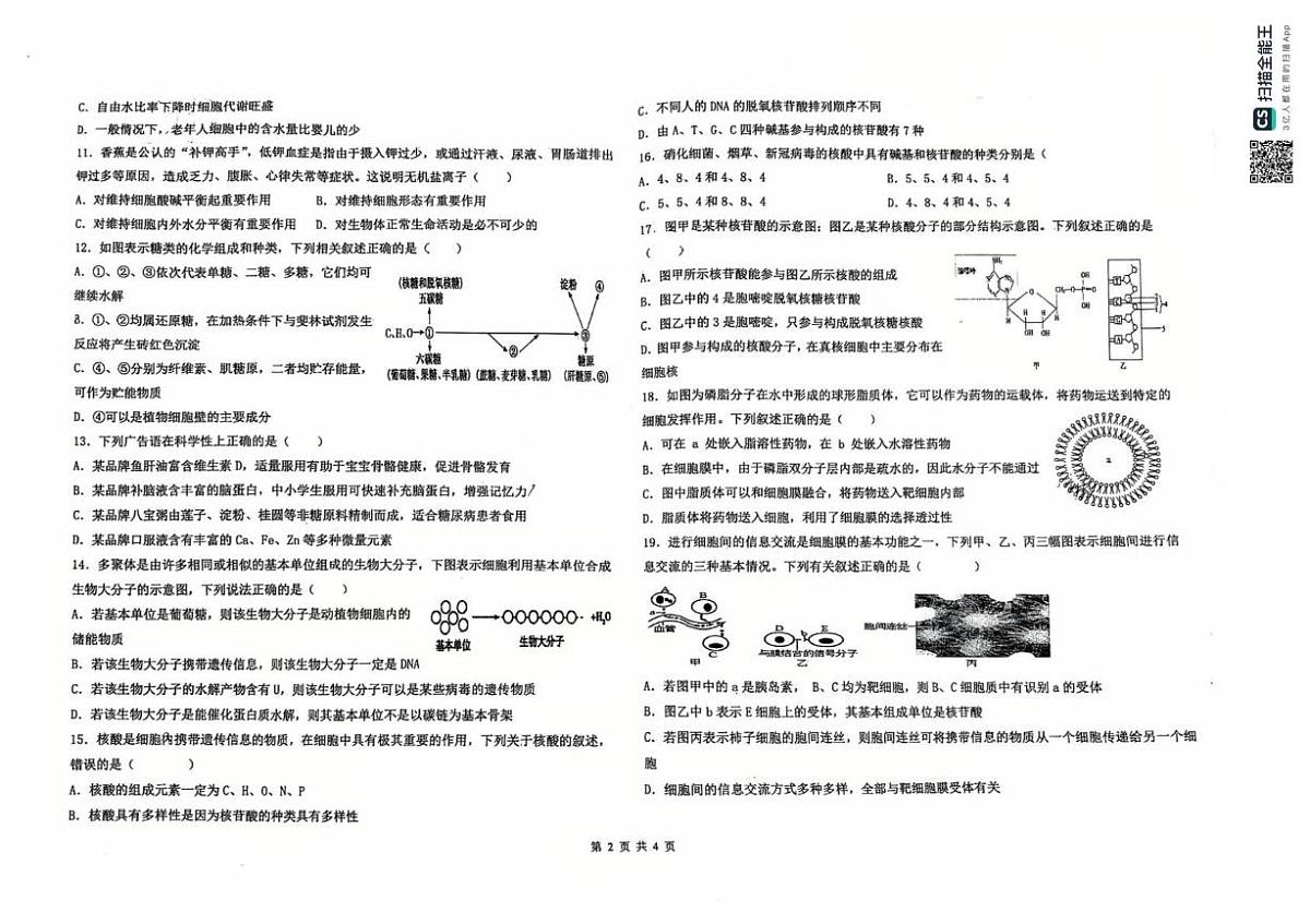 天津市第九十五中学2025-2026学年高一上学期期中考试生物试题第2页
