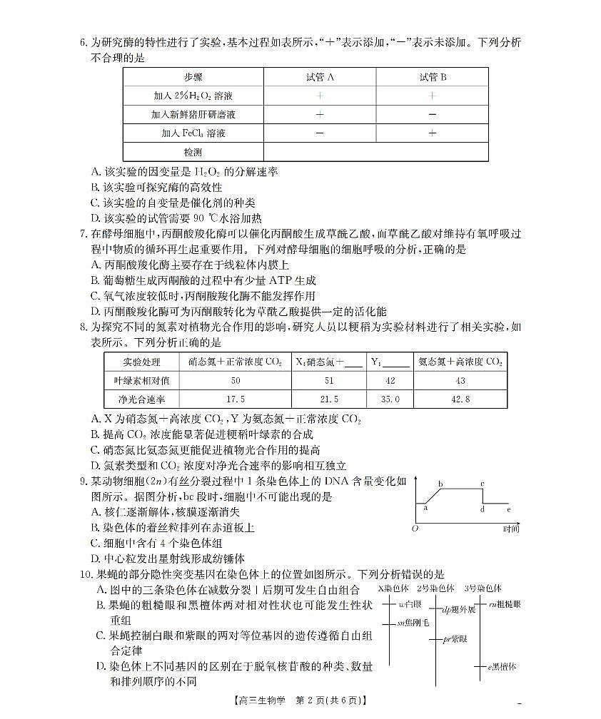 新疆金太阳2026届高三上学期10月联考（26-60C）生物试题+答案第2页