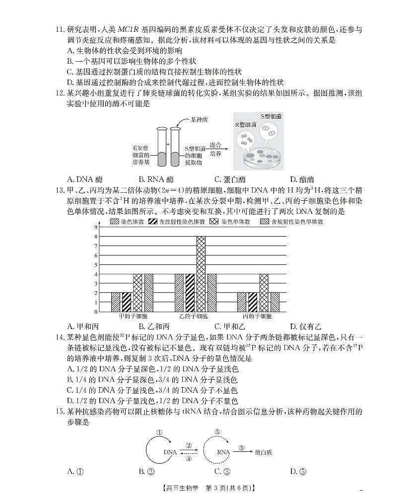 新疆金太阳2026届高三上学期10月联考（26-60C）生物试题+答案第3页