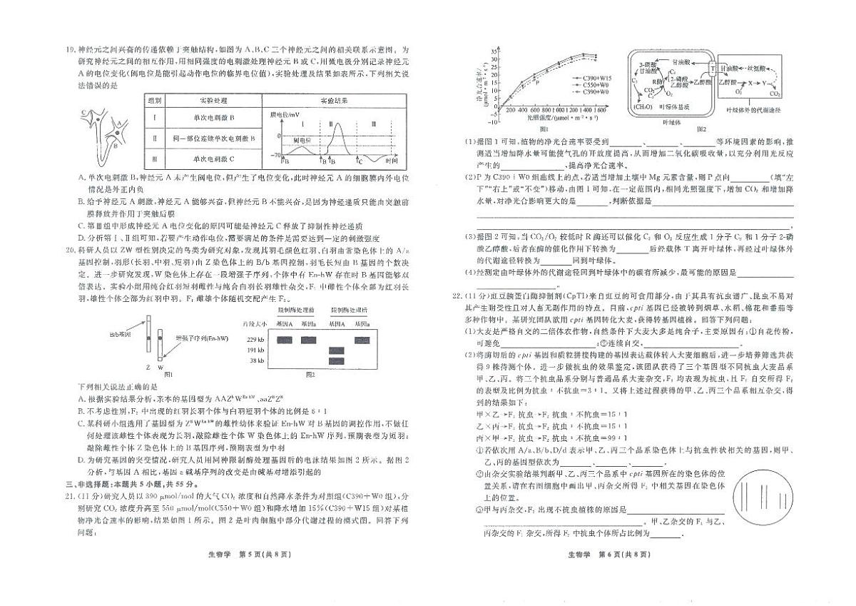 辽宁名校联盟高三上学期11月联考生物试题（含答案）第3页