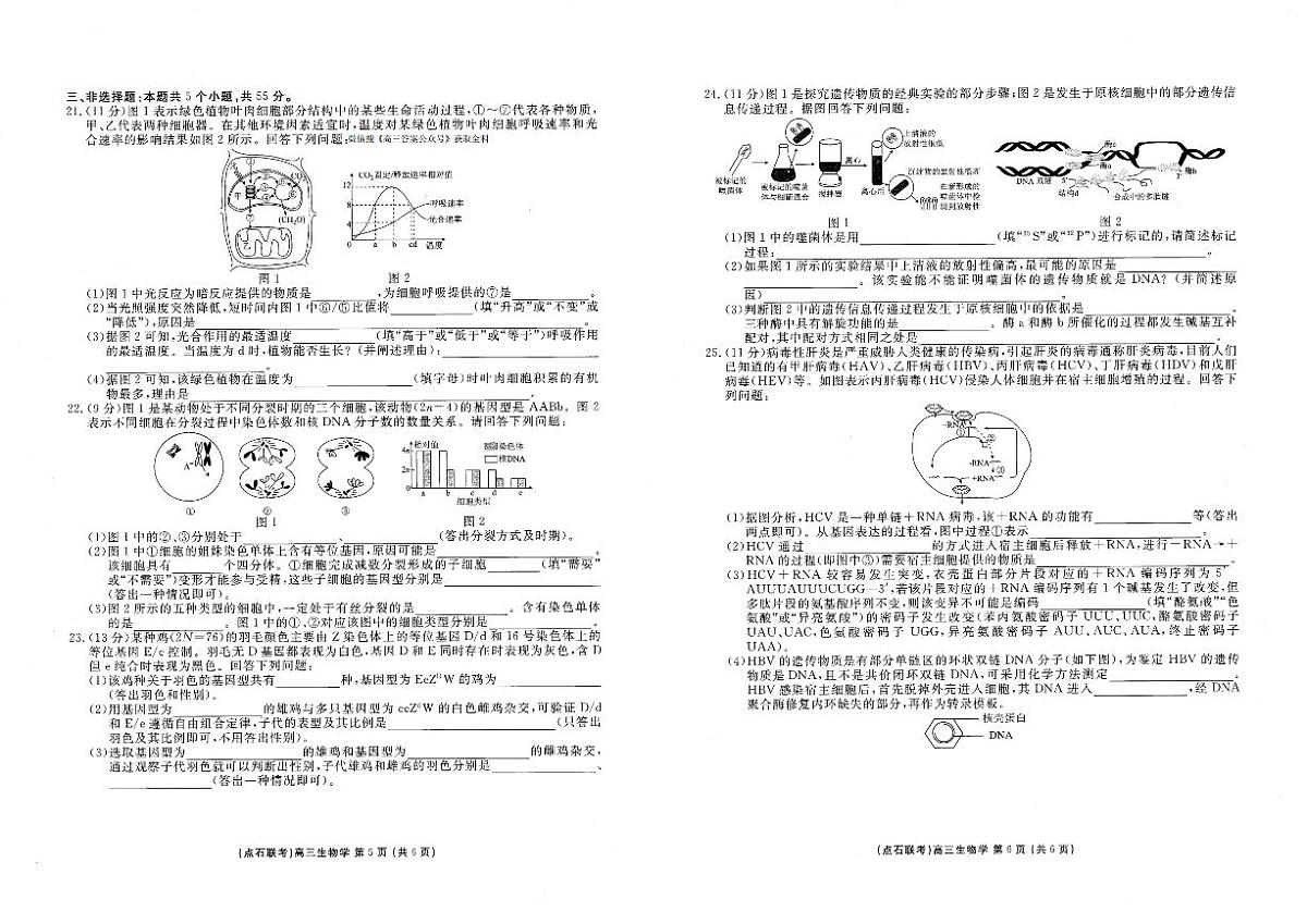 辽宁点石联考2025-2026学年高三上学期11月期中生物试题（含答案）第3页
