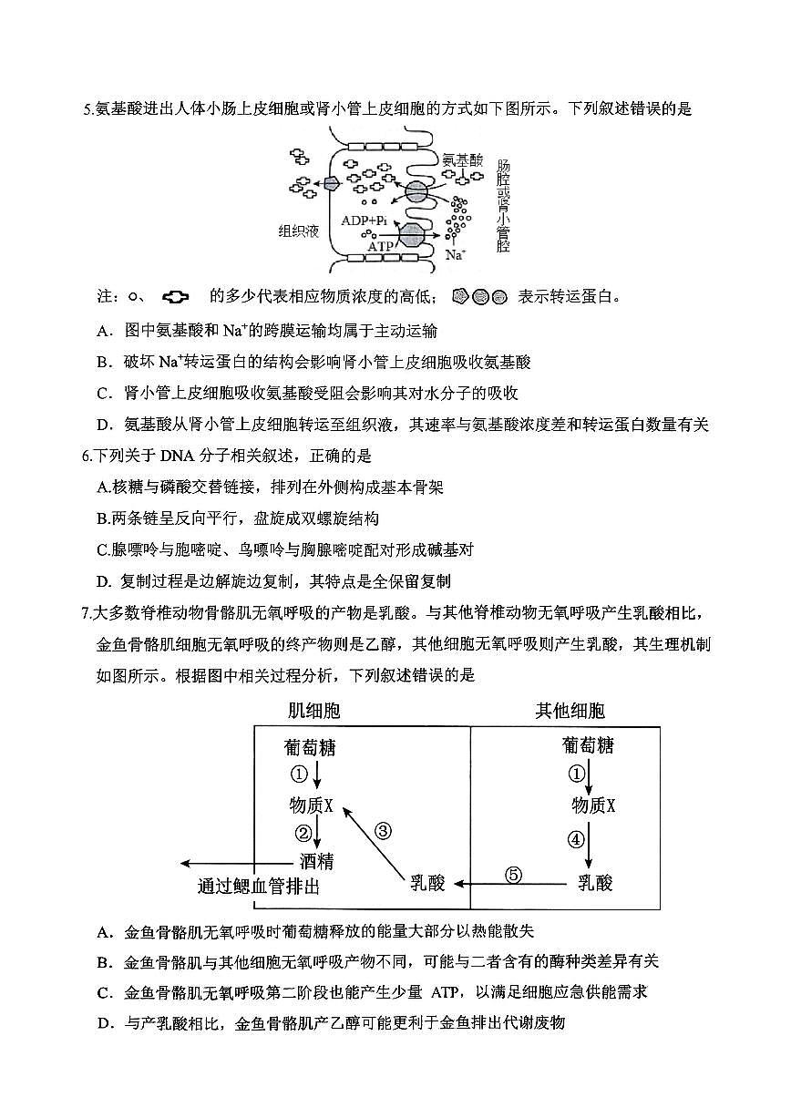 重庆九龙坡高2026届高三第一学期期中考试生物试卷（含答案）第2页