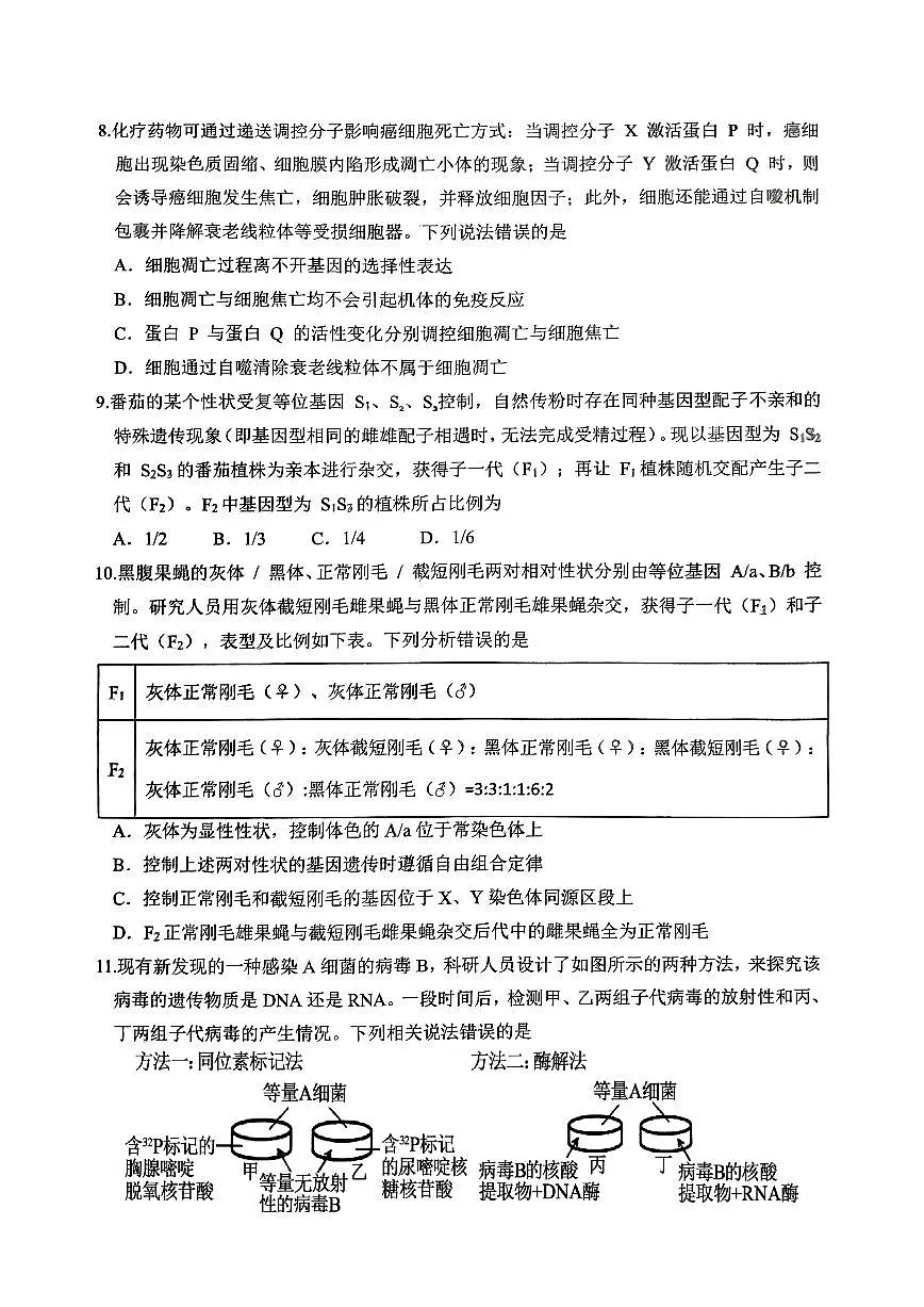 重庆九龙坡高2026届高三第一学期期中考试生物试卷（含答案）第3页