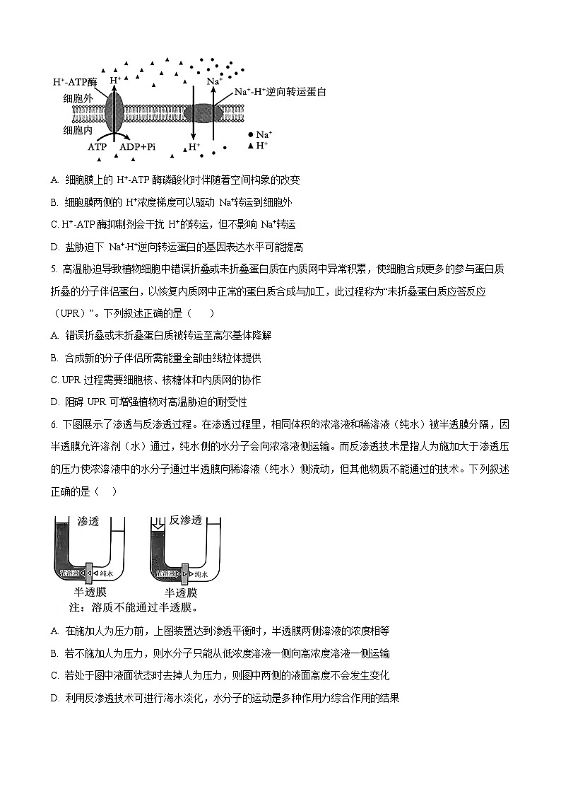 黑龙江省哈尔滨师范大学附属中学2025-2026学年高三上学期期中考试生物试卷第2页