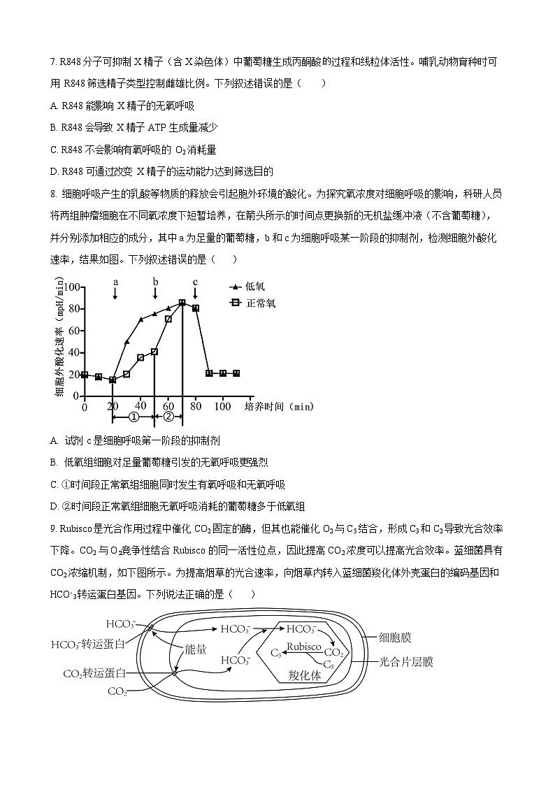 黑龙江省哈尔滨师范大学附属中学2025-2026学年高三上学期期中考试生物试卷第3页