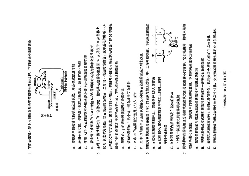 云南省大理州2025-2026学年高三上学期高考一轮复习11月考试生物试卷第2页