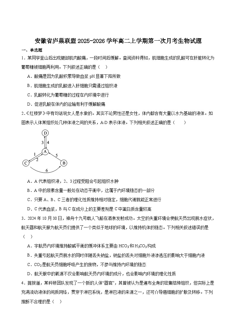 安徽省庐巢联盟2025-2026学年高二上学期第一次月考生物试卷（Word版附答案）第1页