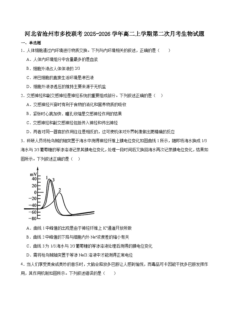 河北省沧州市多校联考2025-2026学年高二上学期第二次月考生物试卷（Word版附答案）第1页