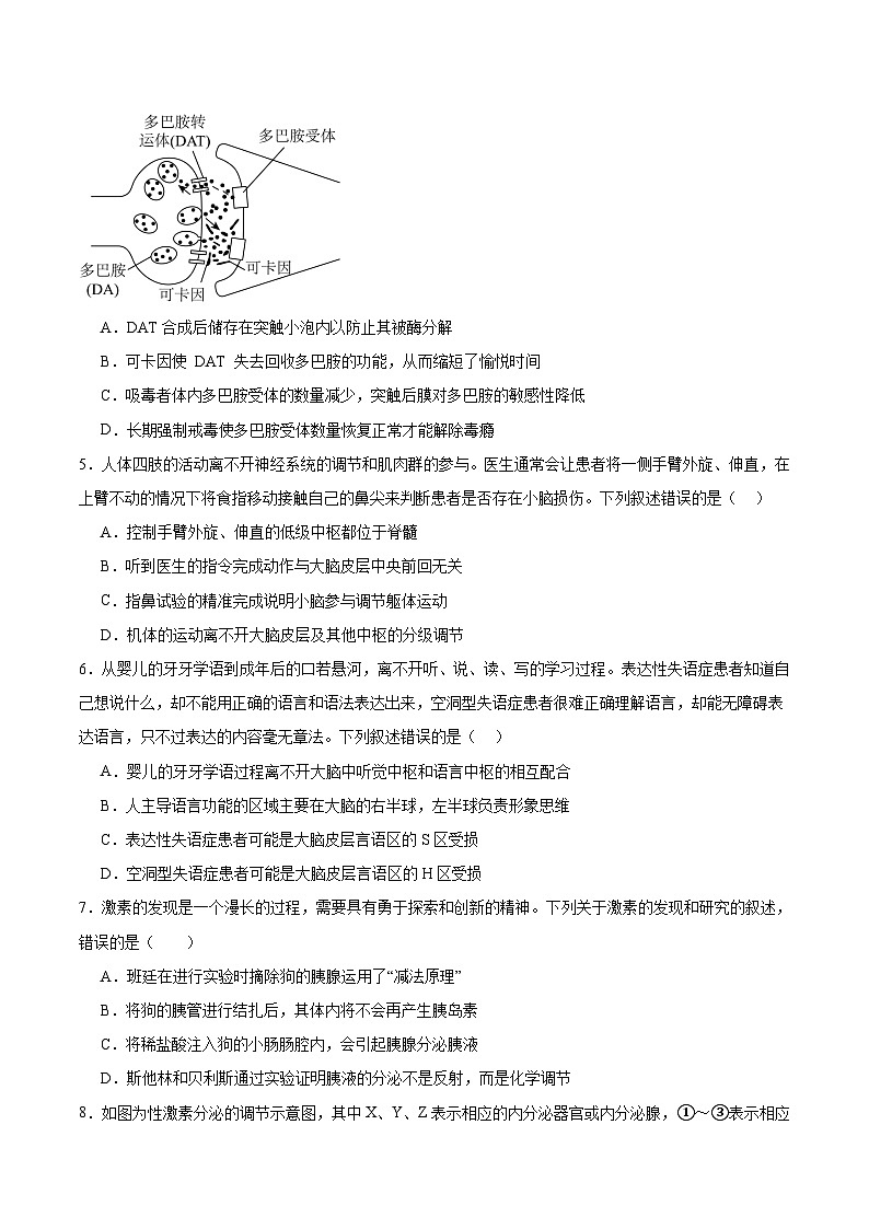 河北省沧州市多校联考2025-2026学年高二上学期第二次月考生物试卷（Word版附答案）第2页