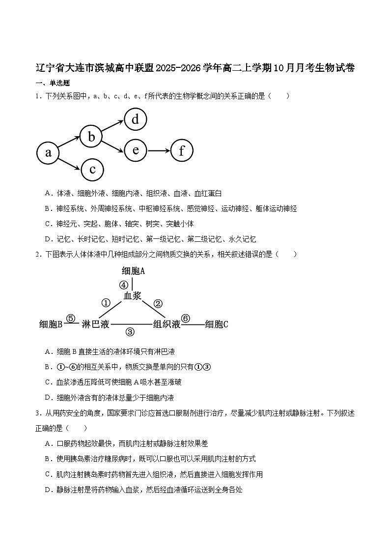辽宁省大连市滨城高中联盟2025-2026学年高二上学期10月月考生物试卷（Word版附答案）第1页