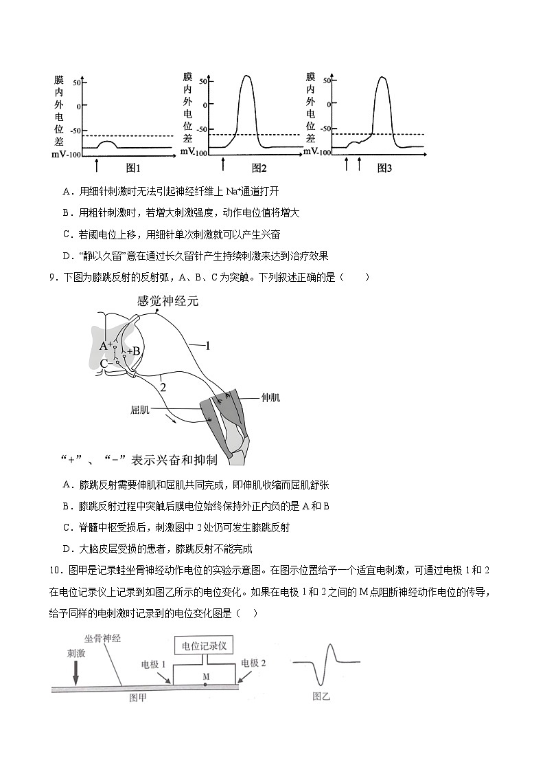 辽宁省大连市滨城高中联盟2025-2026学年高二上学期10月月考生物试卷（Word版附答案）第3页