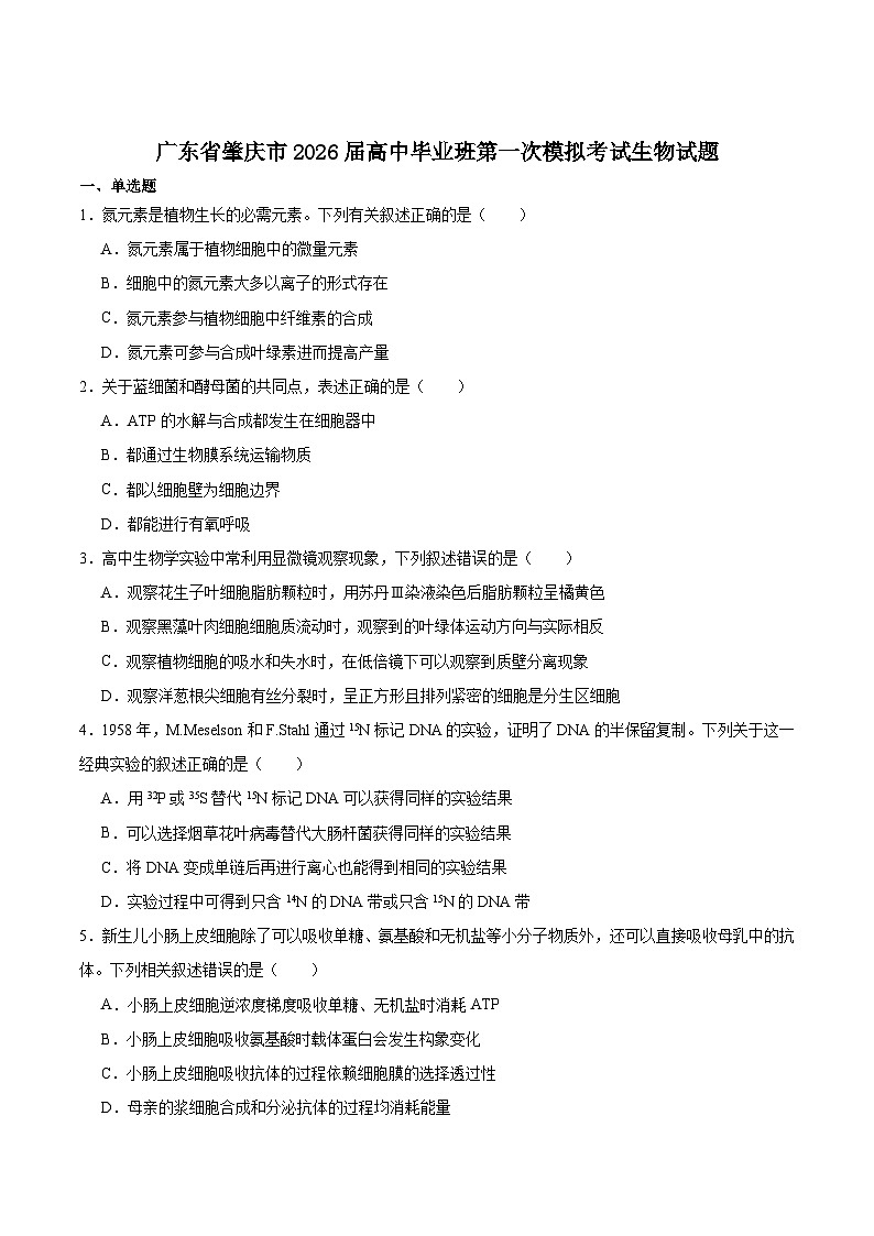 广东省肇庆市2026届高三上学期第一次模拟考试生物试卷（Word版附答案）第1页
