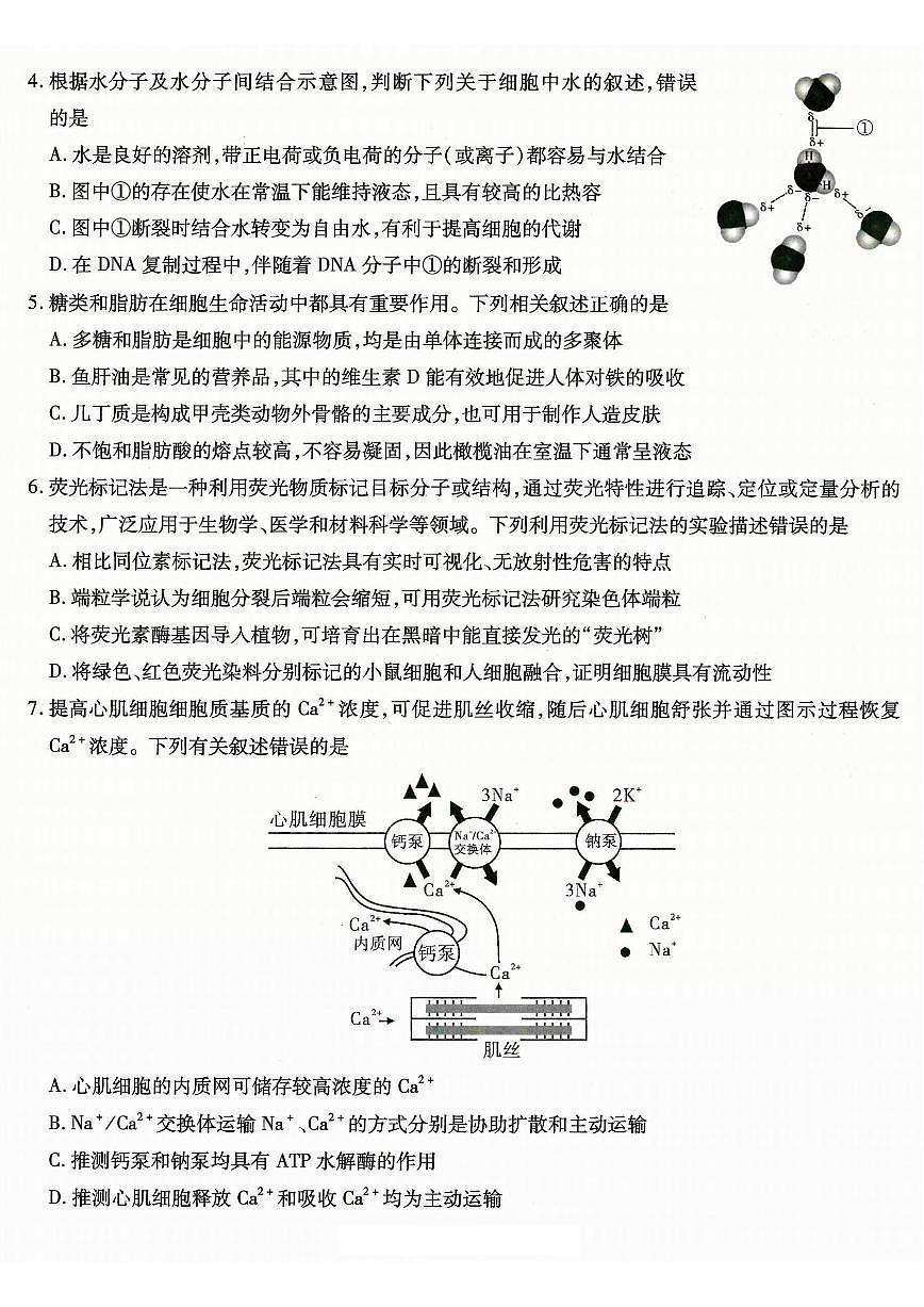 重庆市南开中学高2026届高三上学期第一次质量检测+生物试卷（无答案）第2页