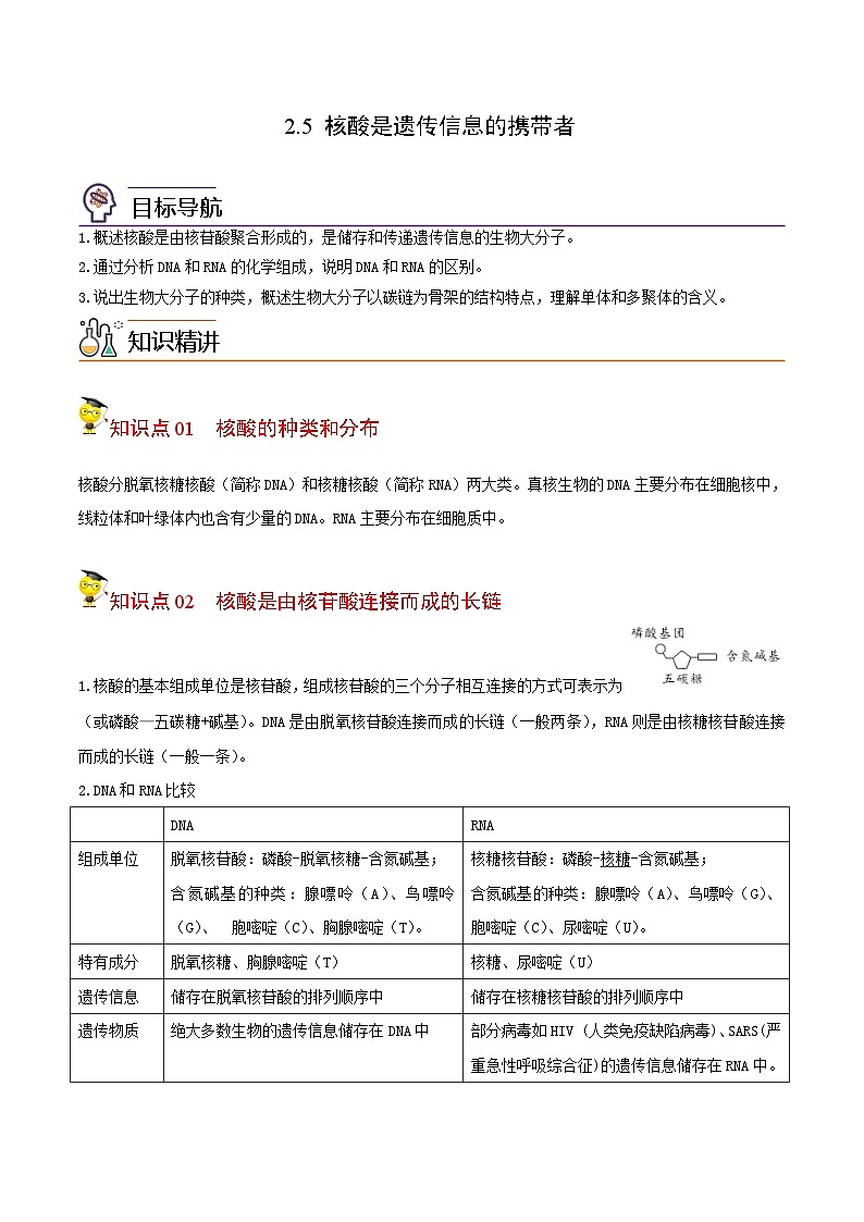高考生物【一轮复习】精品讲义练习合集 (1)第1页