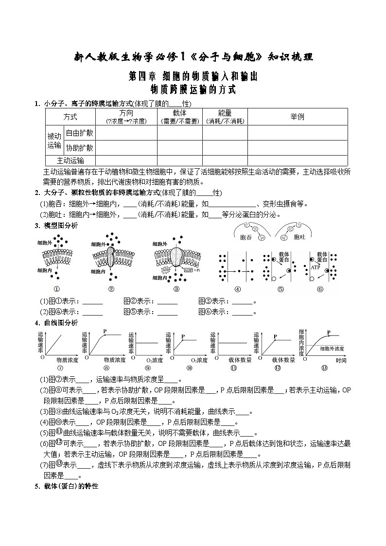 高考生物【一轮复习】精品讲义练习合集 (2)第1页