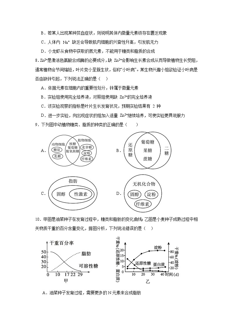 重庆市长寿区重庆市长寿中学校2025-2026学年高一上学期11月期中生物试题（含答案）第3页