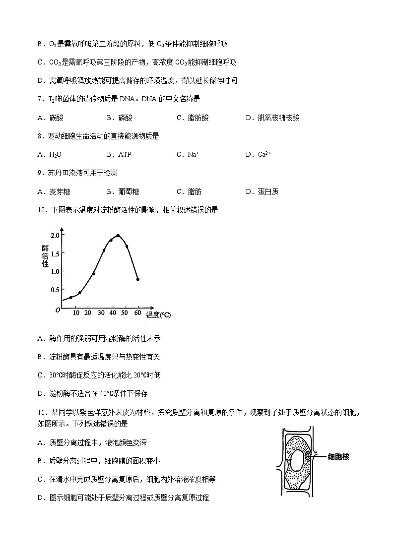 浙江省杭州市第二中学2025-2026学年高一上学期期中考试生物试卷（有答案）第2页
