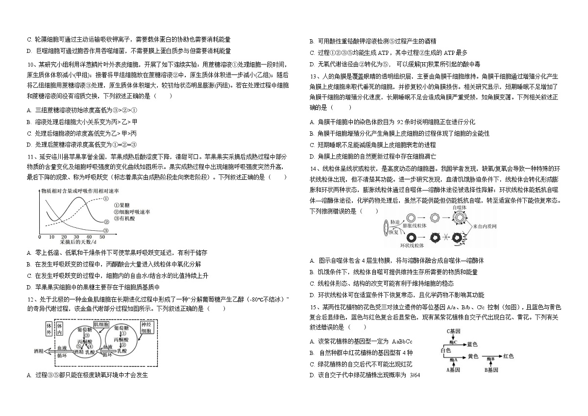 云南省曲靖一中沾益清源高级中学2025-2026学年高三上学期11月期中生物试题（无答案）第2页