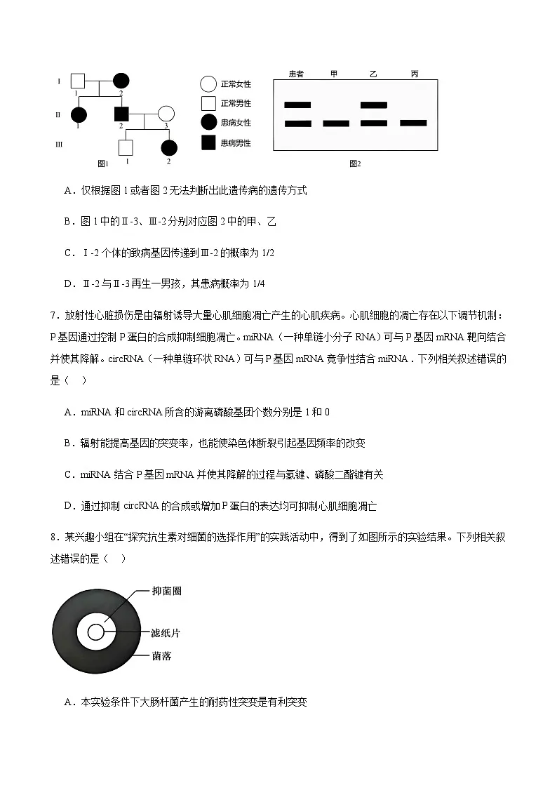 山西省运城市2026届高三上学期期中调研考试生物试卷（有答案）第3页