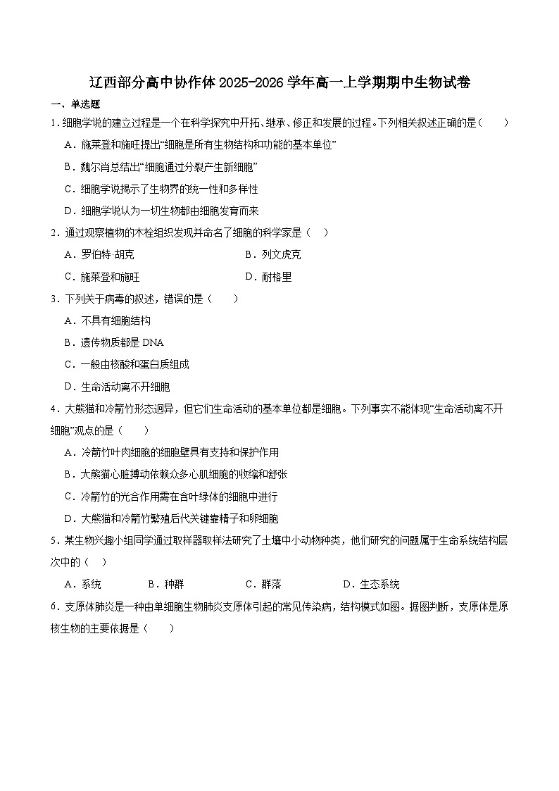 辽宁省辽西部分高中协作体2025-2026学年高一上学期期中考试生物试卷（有答案）第1页