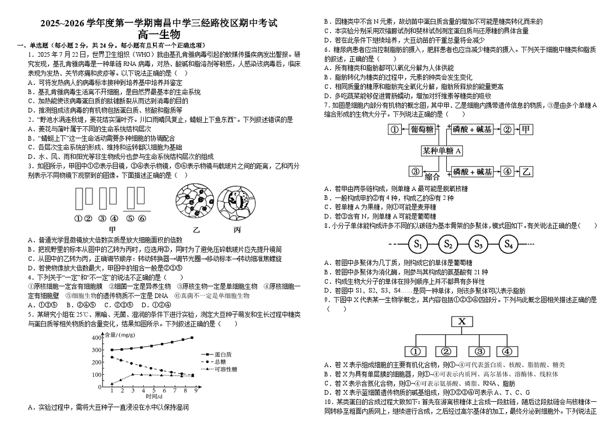 江西省南昌中学三经路校区2025-2026学年高一上学期期中考试生物试题（有答案）第1页