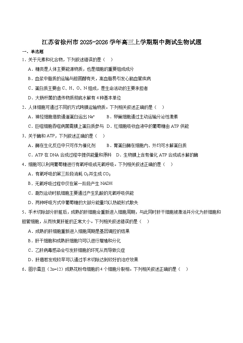 江苏省徐州市2026届高三上学期期中抽测生物试卷（有答案）第1页